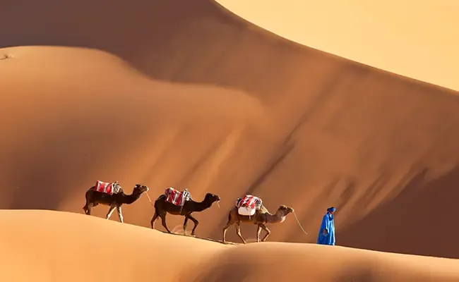 Circuit Maroc