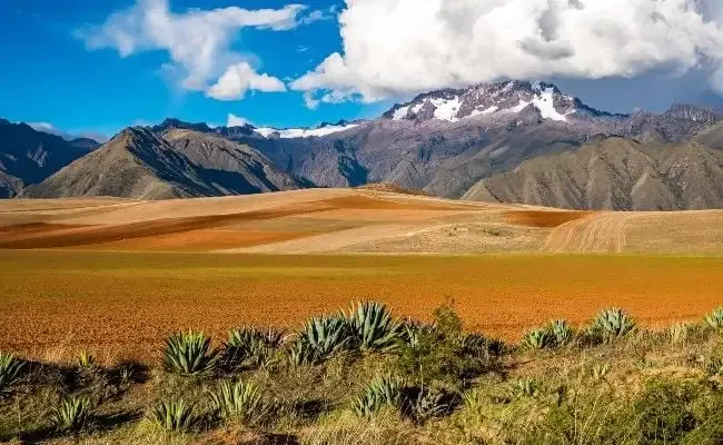 bolivie