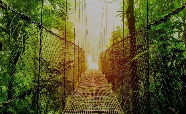 costa rica Reserve d'Arsenal