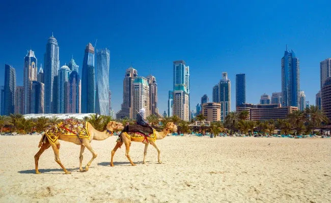 Dubaï plage buildings