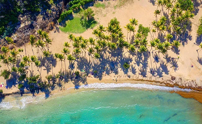 martinique