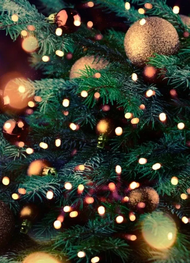 Où partir à Noël ?