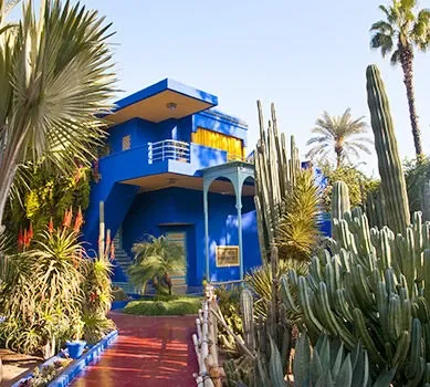 jardin
