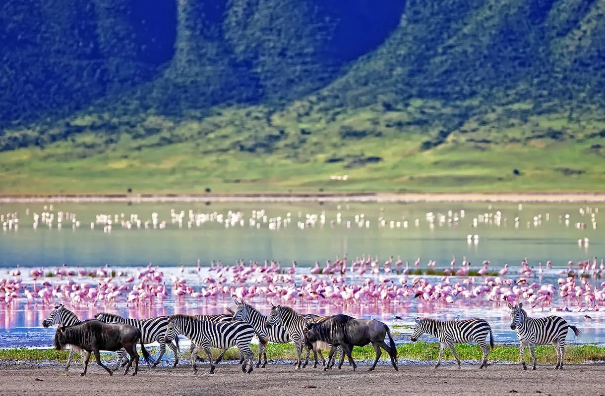 Tanzanie
